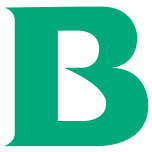 B BRAUN MEDICAL logo